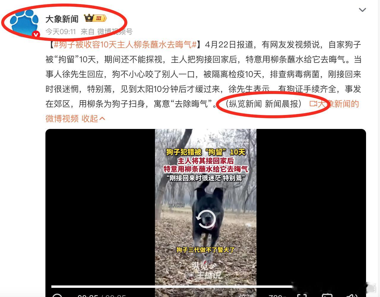 【狗子被收容10天主人柳条蘸水去晦气】省级媒体三观不正，平顶山学院被狗咬20多处