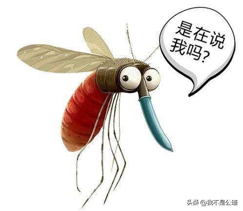 蚊子到底能喝多少？
带定位聊本地新鲜事
昨晚睡觉谁知道几点
耳边一阵嗡嗡声把人吵