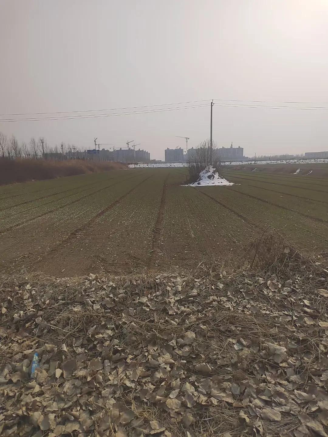 一年四季，万古千秋，静静的待在那里
