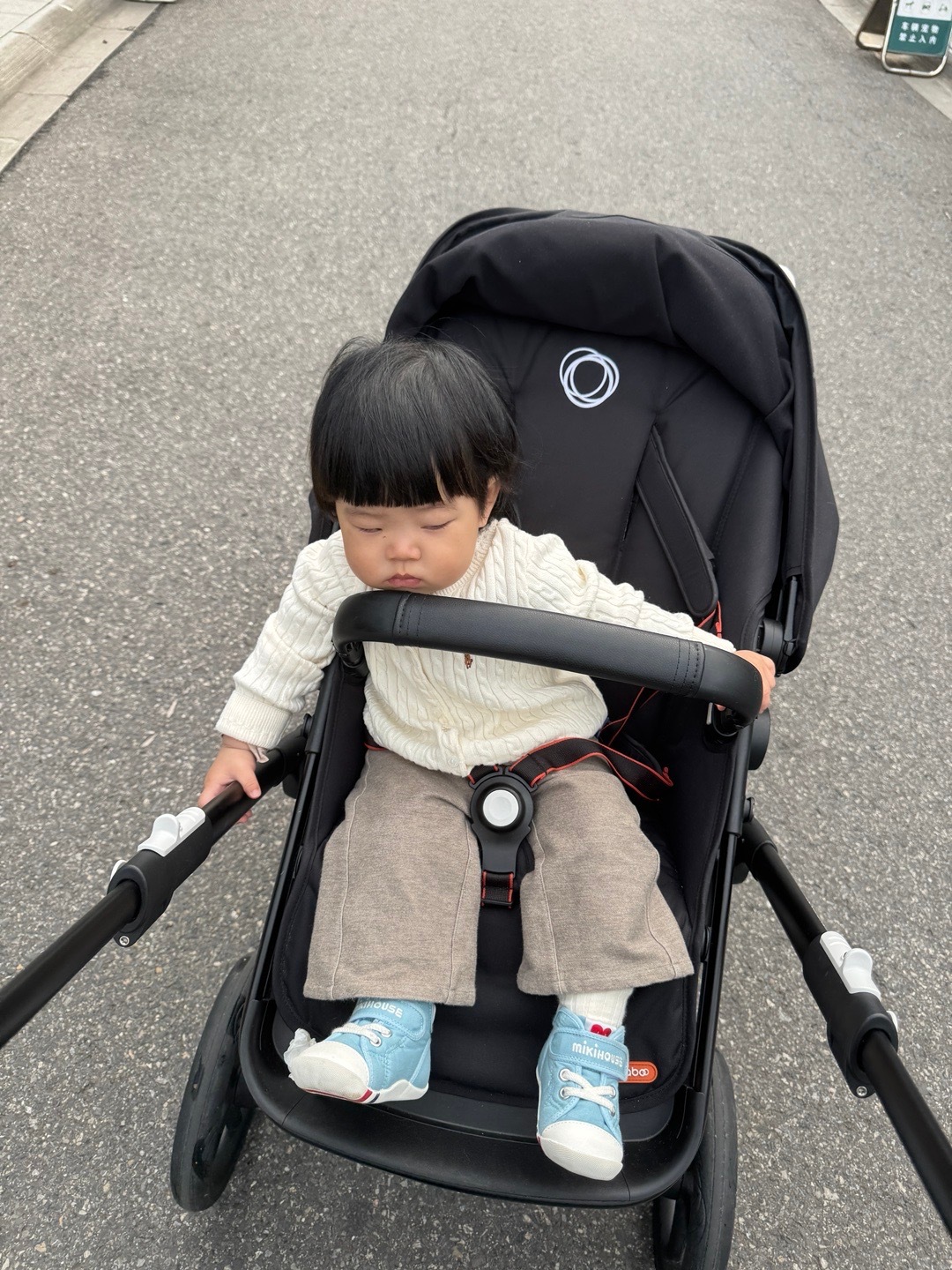 带娃日常 ​​​