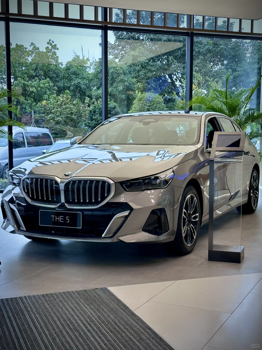 成功路上，5系为伴