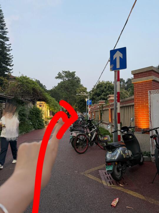 记住漳州这里！！确实是蕞好吃的广式茶点！