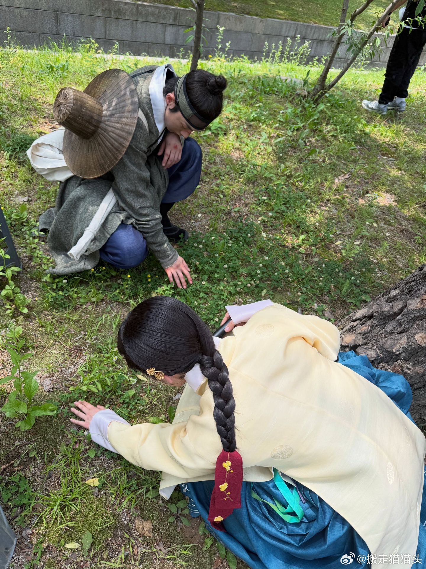 翻遍了片场每寸土地找到了一株五叶草…… 
