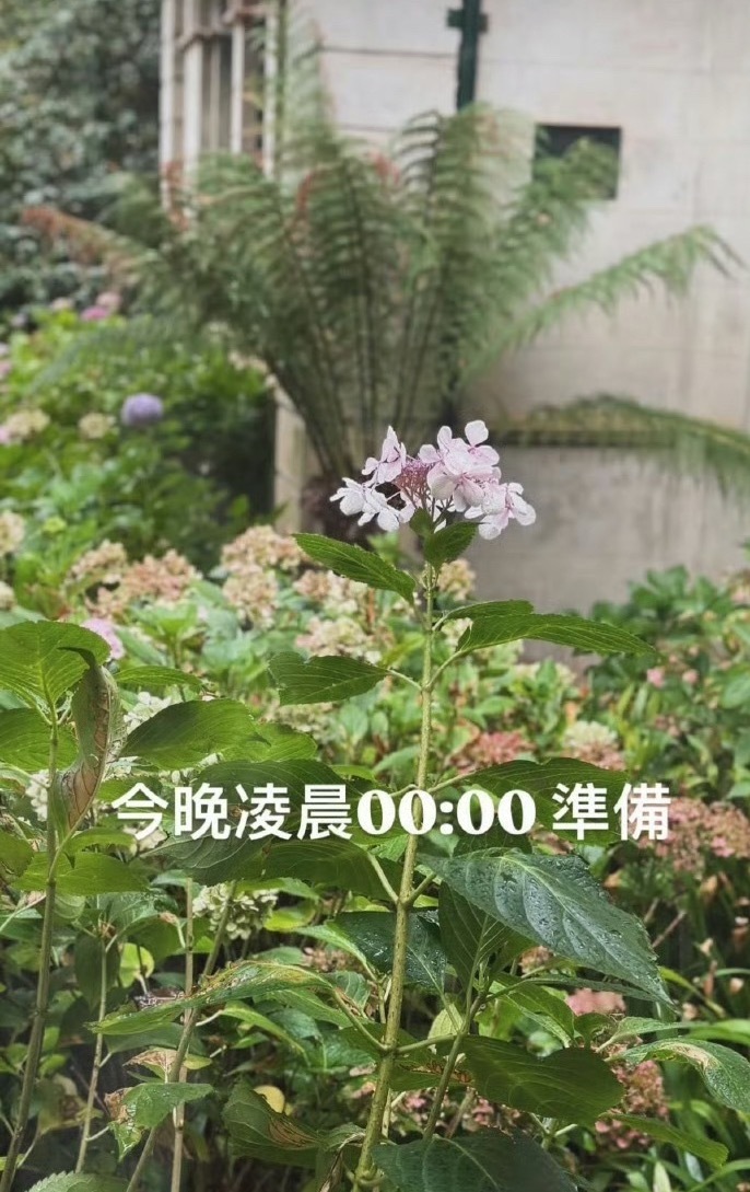 周杰伦说今晚0点准备今晚新专辑就要来了！！已经准备好了 