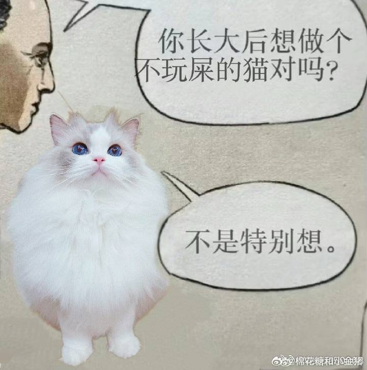 我也是贱皮子。天天玩我就想骂他，现在一周不玩我又担心他有什么心事了。 ​​​