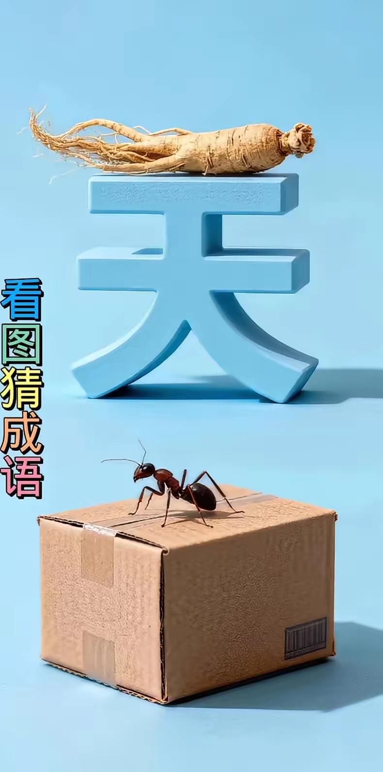 看图猜成语，问了九十九个人都不知道答案，全军覆没，难度系数五颗星，各位才子佳人知