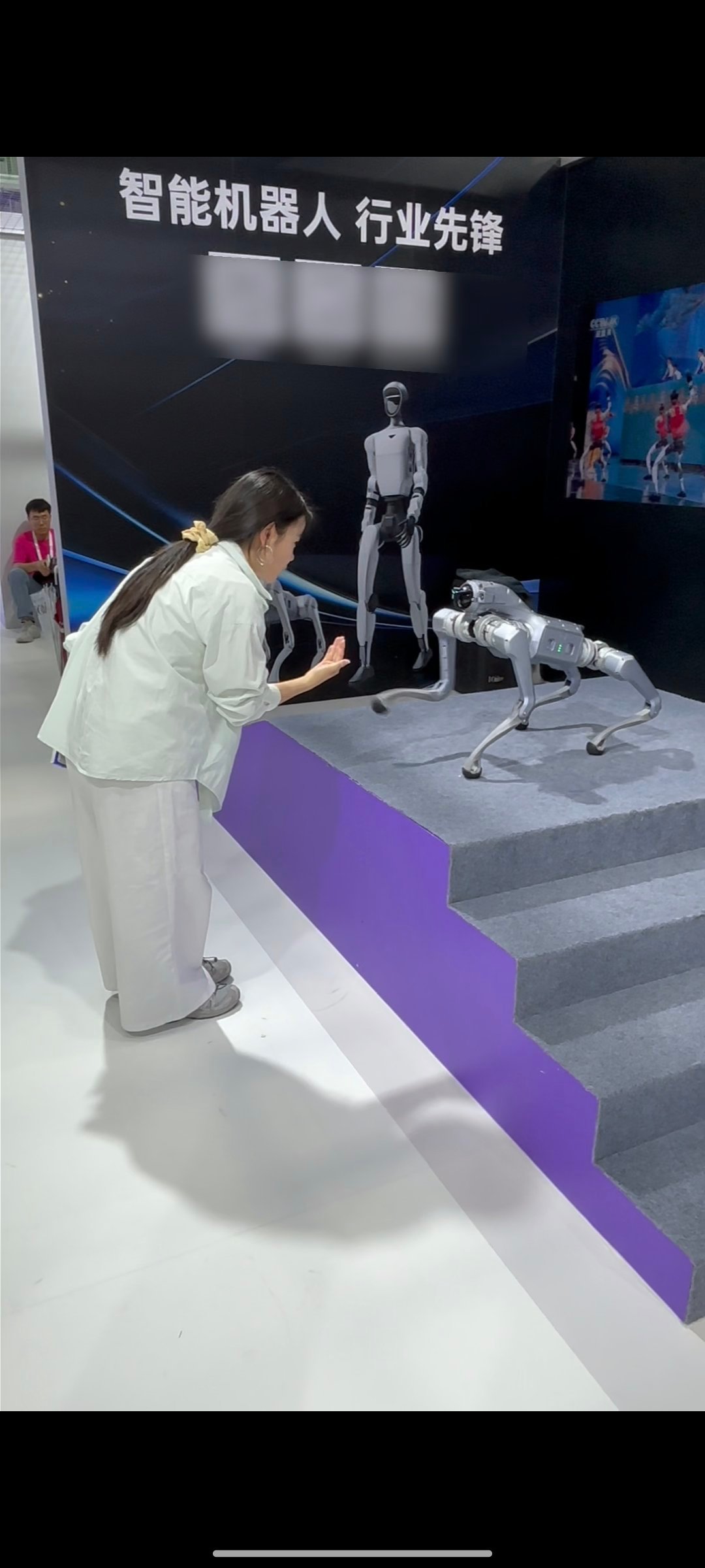 嘬嘬嘬也可以召唤机器狗狗狗的底层代码嘬嘬嘬全网玩梗：狗狗的底层代码是嘬嘬嘬！外滩