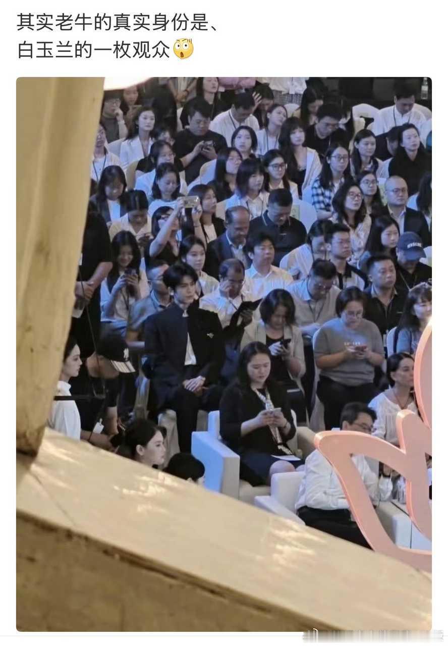 有一说一，🐮🐮在人群中真的很亮眼！