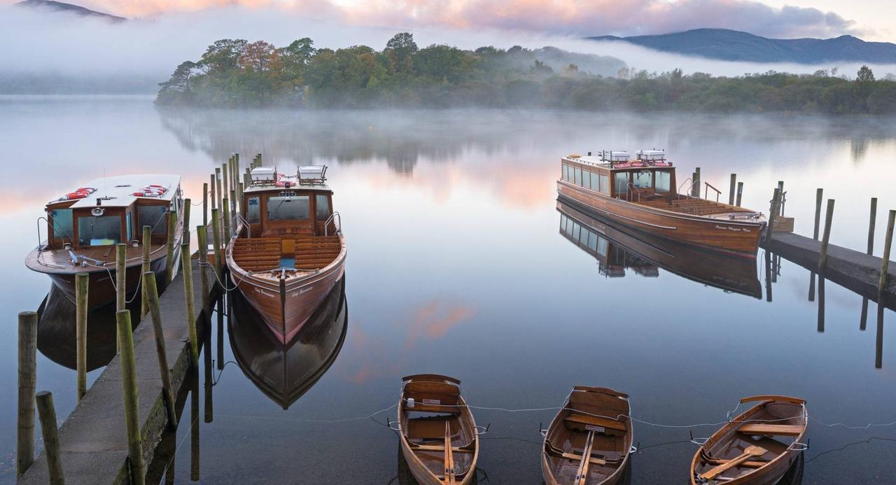 懂上台，就嘲笑登；登复出，就讽刺懂。如果登子秽土重生，重掌白宫呢？ 紧跟众人一起