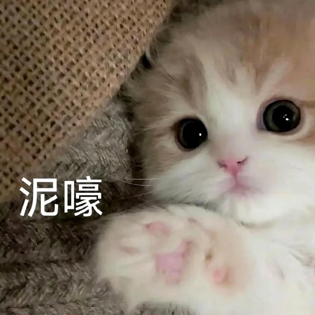老公能不能出个黑皮哈哈