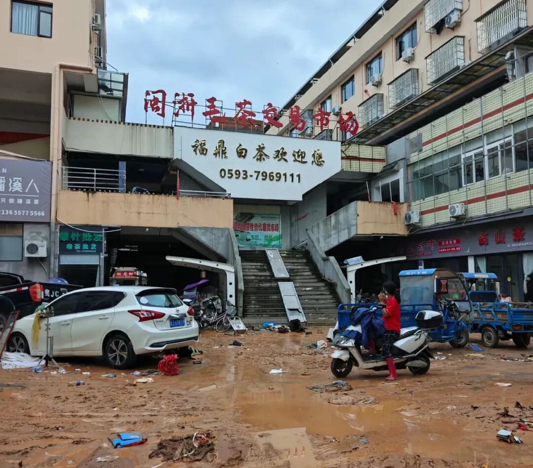 “所有茶叶都泡了水，根本来不及抢”，洪水侵袭福建“白茶第一镇