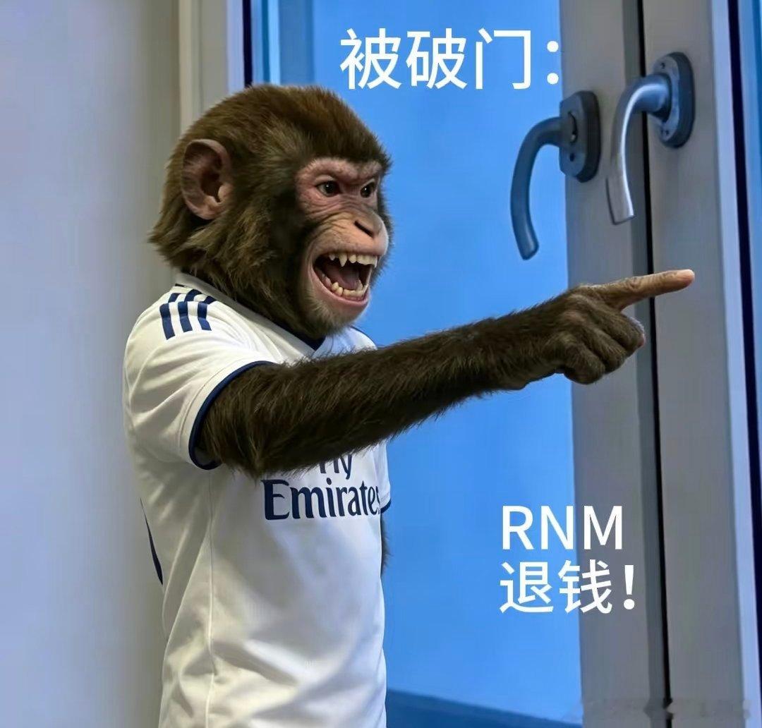 追世界杯的我belike整场球赛我的情绪来回反复横跳，从吐槽、愤怒到狂喜再到破防