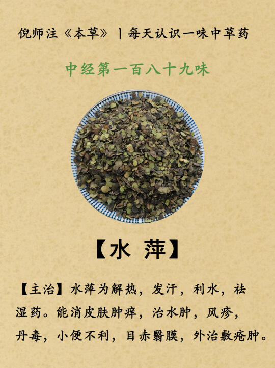 倪师注《本草》丨189-水萍—190-王瓜