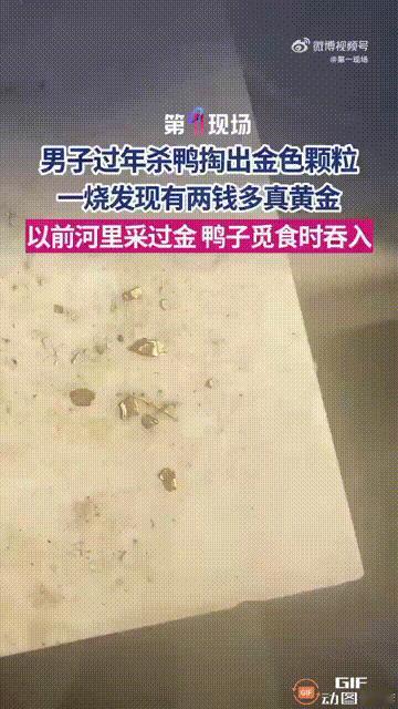怎么会有这么好的运气！湖南邵阳一名男子过年杀鸭，没想到却在鸭子的肚子里面，发现了