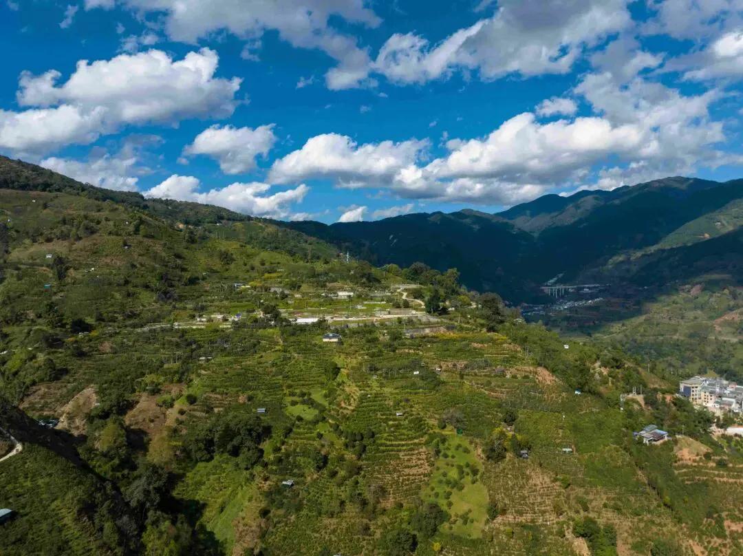 新年爱好打卡今天转了一圈看看，还是有点儿过年的气氛了，小孩已经开始乱扔炮仗了。还