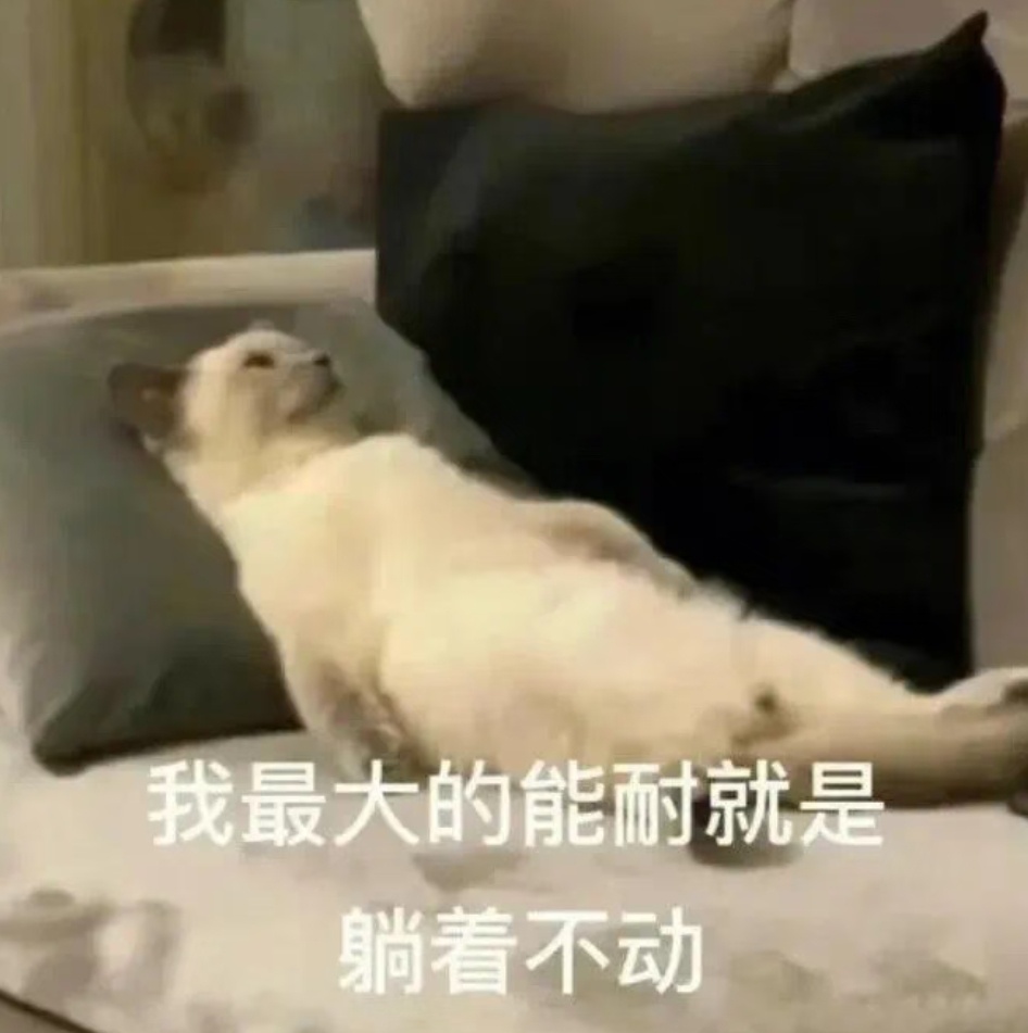 每天一条冷知识 马尾杉是“马”姓植物里的“偷懒”代表，它们通常附生于树干或岩石上