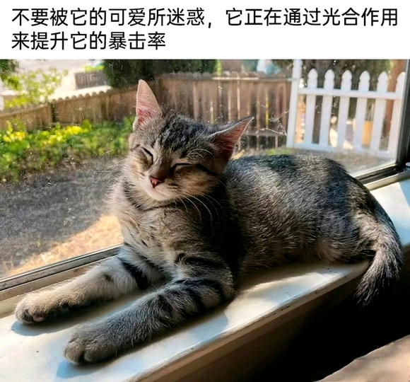 小心了#今日memes# //#新年快乐漫游指南# //#转发接龙开新年# ​​