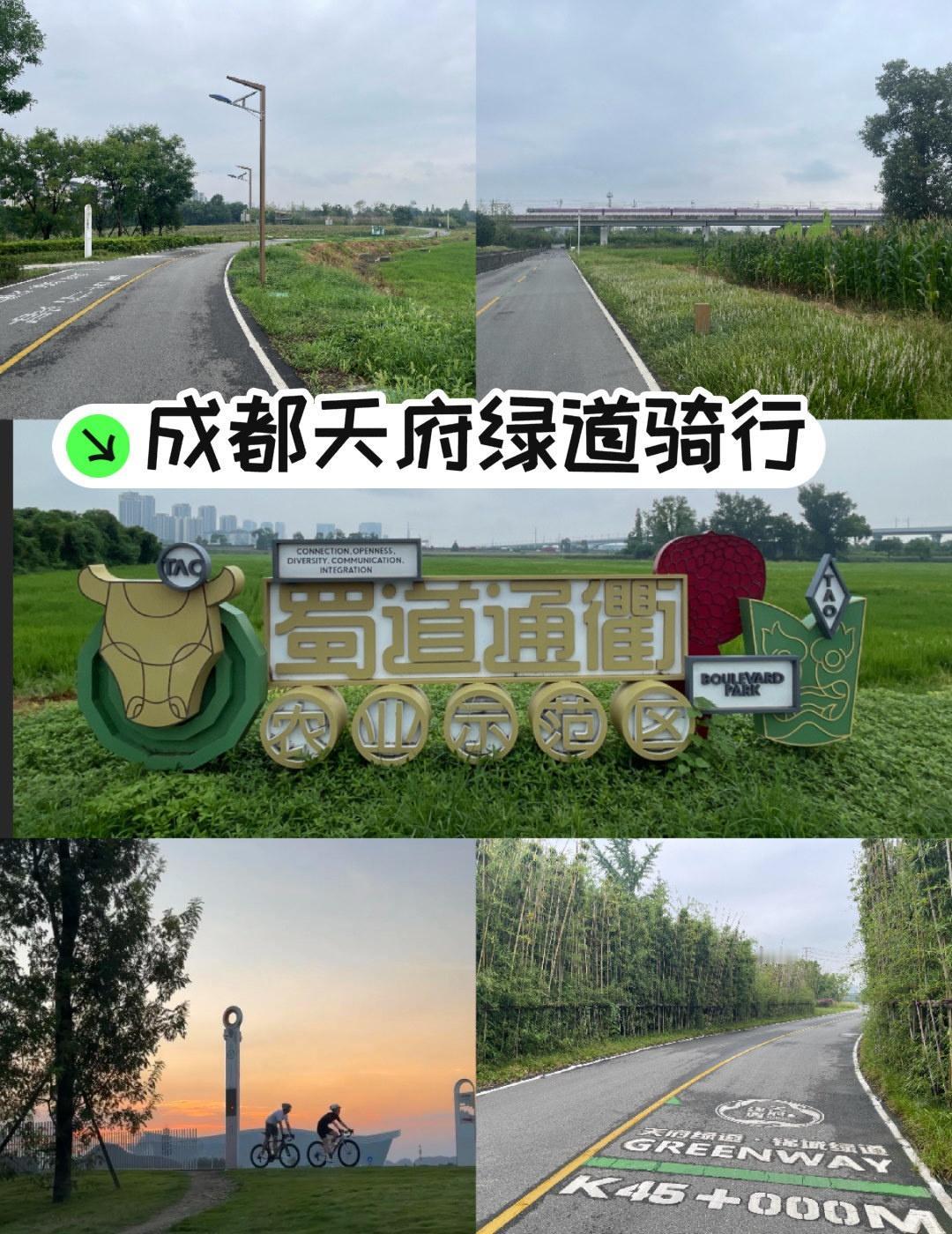 终于刷了天府绿道！新手推荐东片区精华线：桂溪生态公园→中和湿地公园→白鹭湾→青龙