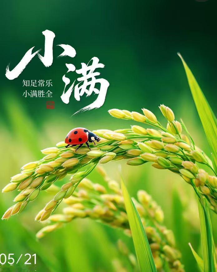 风雨人生,什么最重要?风雨人生，不必纠结得失输赢，平安健康、内心安稳、懂得释怀最