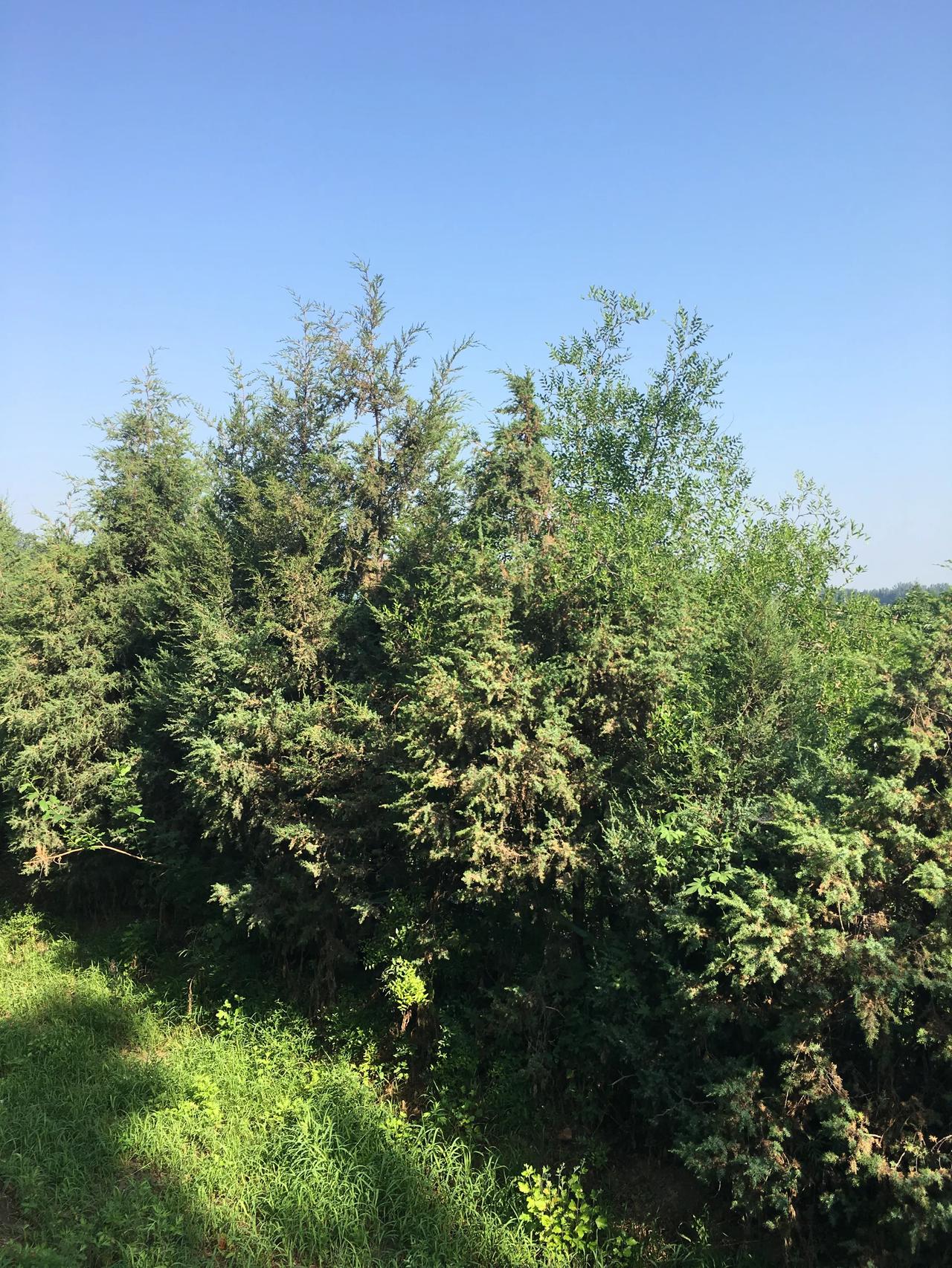 又是美好的一天开始了，昨天已经过去，今天努力继续[加油][加油][加油][加油]