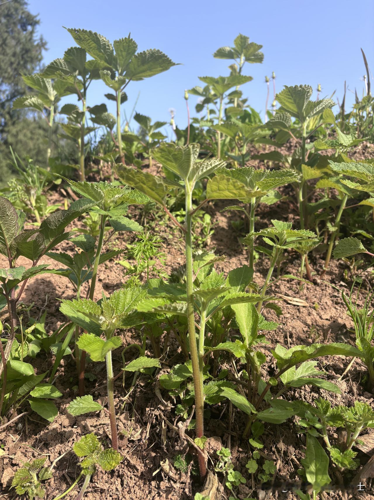 我发现，这世上最公平的是时间。

在女人的前30年，他可以让你的身体饱满又紧致，