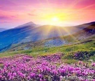 #上联：出水娇荷寻夏雨，下联才友请#落日蜂蝶恋夕阳。