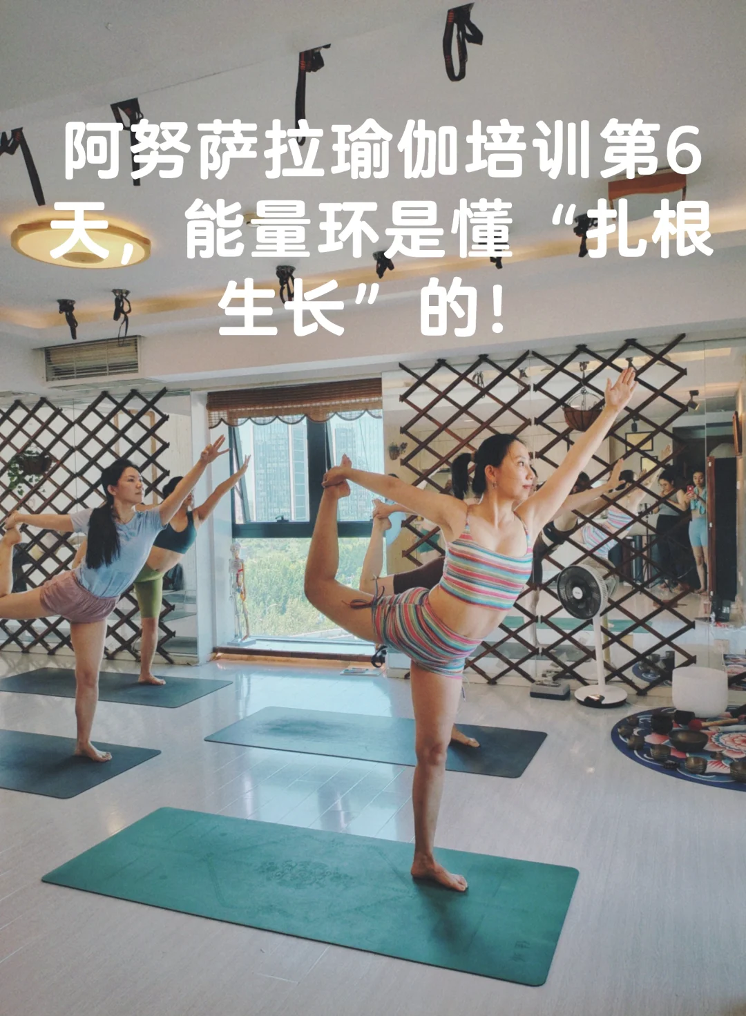 阿努萨拉瑜伽向下扎根向上生长的魅力