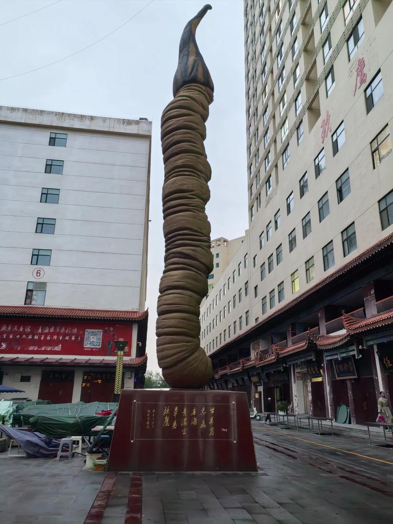 你见过这么大的冬虫夏草吗？知道这是在哪里拍的吗？