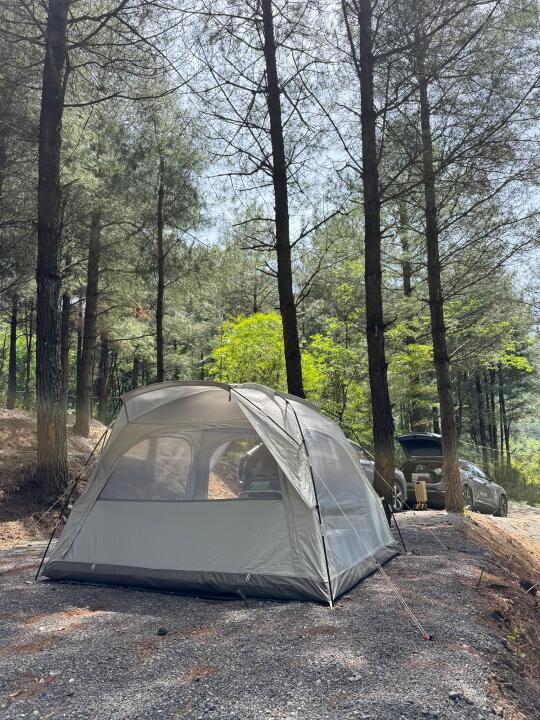 南川露营🏕️人少不晒环境好🈶水电💰50