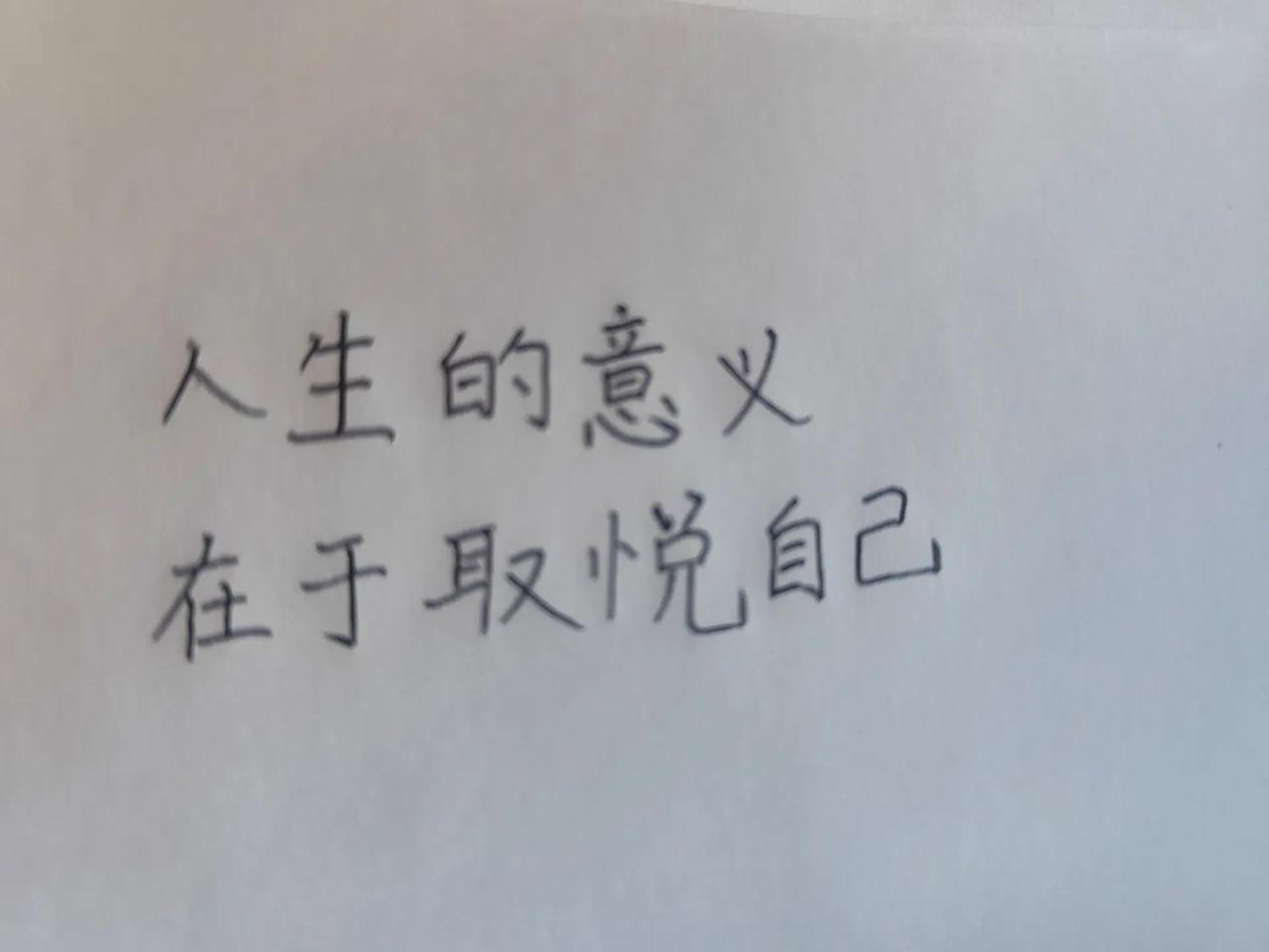 每日一句。人生意义手写笔记的独白 一笔一划写出自己的亲身经历 励志笔记