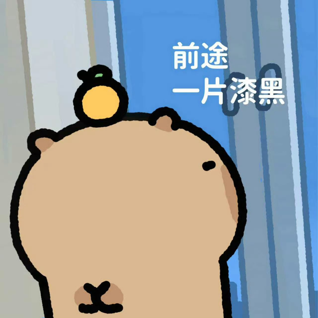 这月已一口气倒霉10天 生理期最开始两天必然痛经 熟练吃药熬过 之后身体有点别的