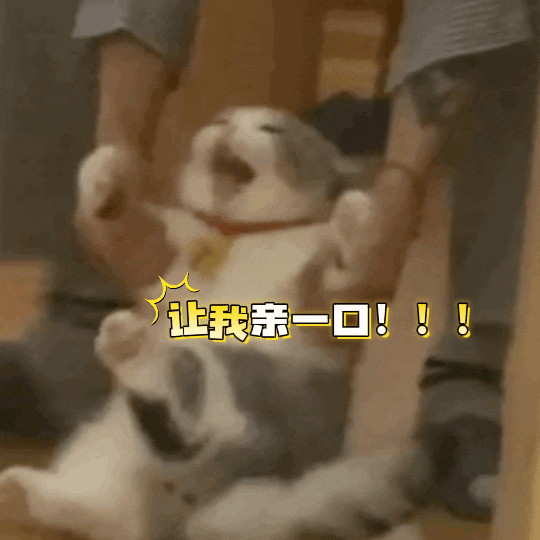 厉泽川今天一场吻戏亲了四遍啊啊啊啊啊啊啊啊啊啊啊啊啊啊啊啊啊啊啊啊啊啊啊啊啊啊啊