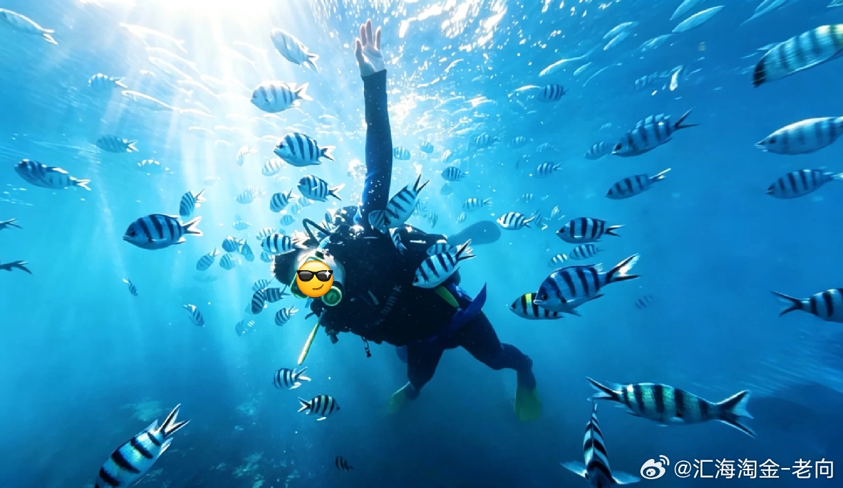 看看咱们实盘宋先生的状态：一边潜水看海，一边享受大餐，顺便还能看着账户里的利润在