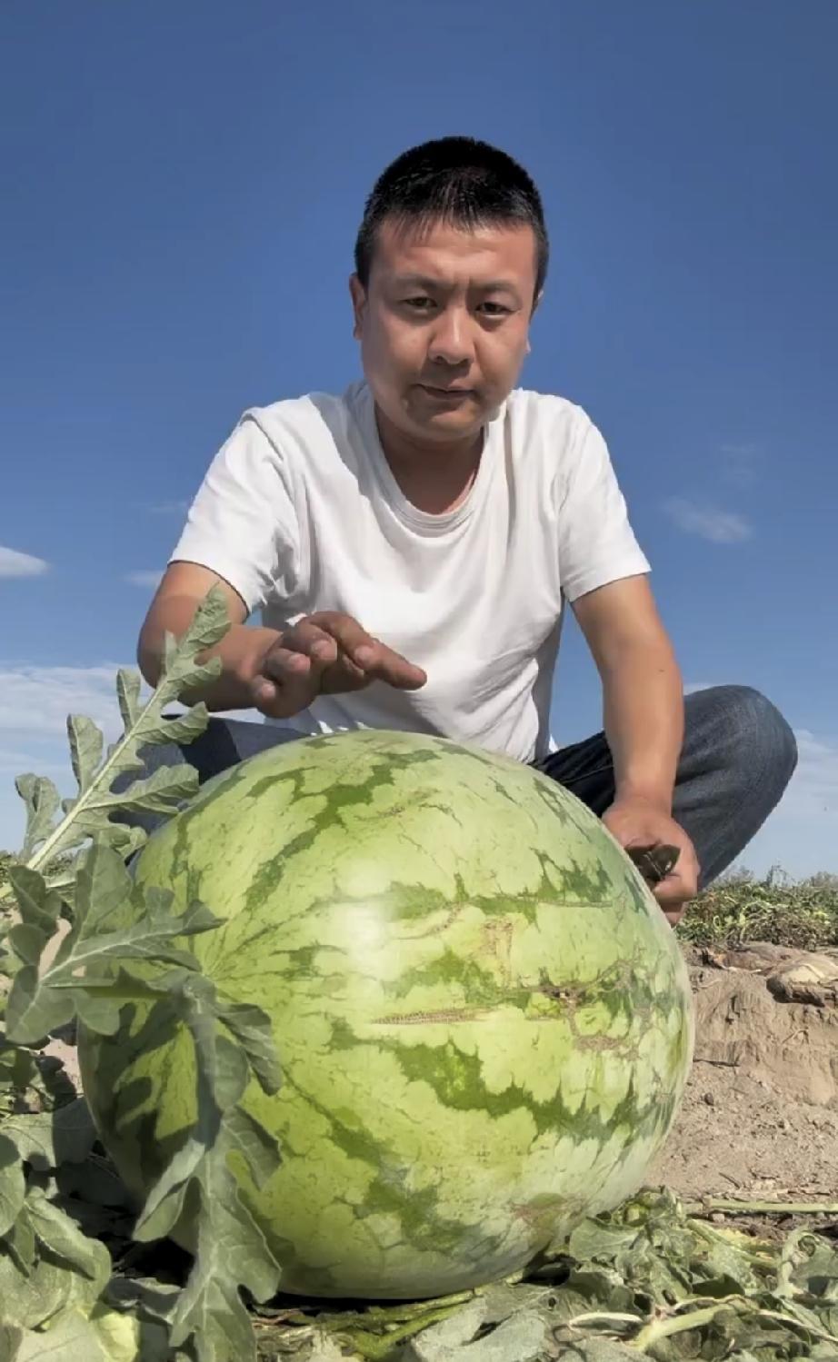 夏日生活打卡季
