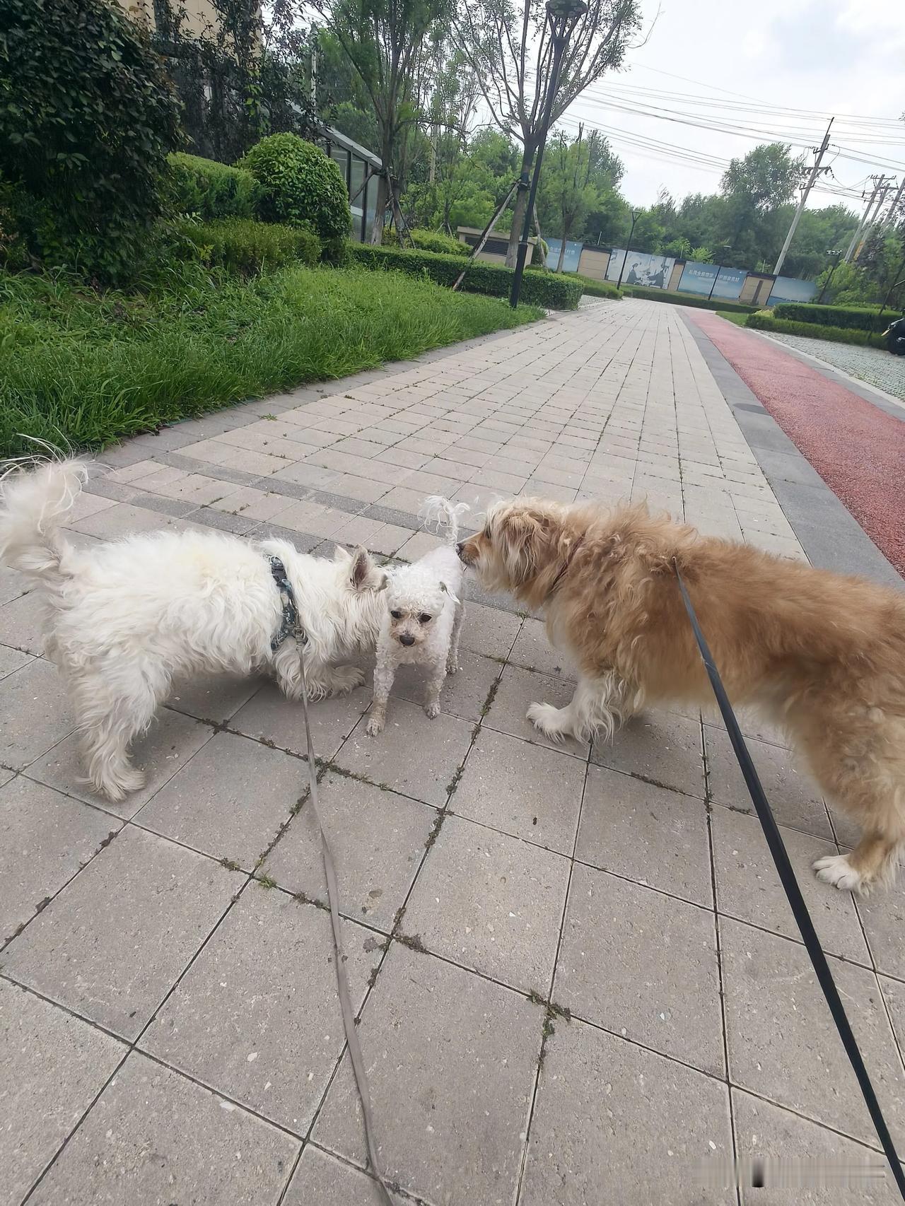 好开心