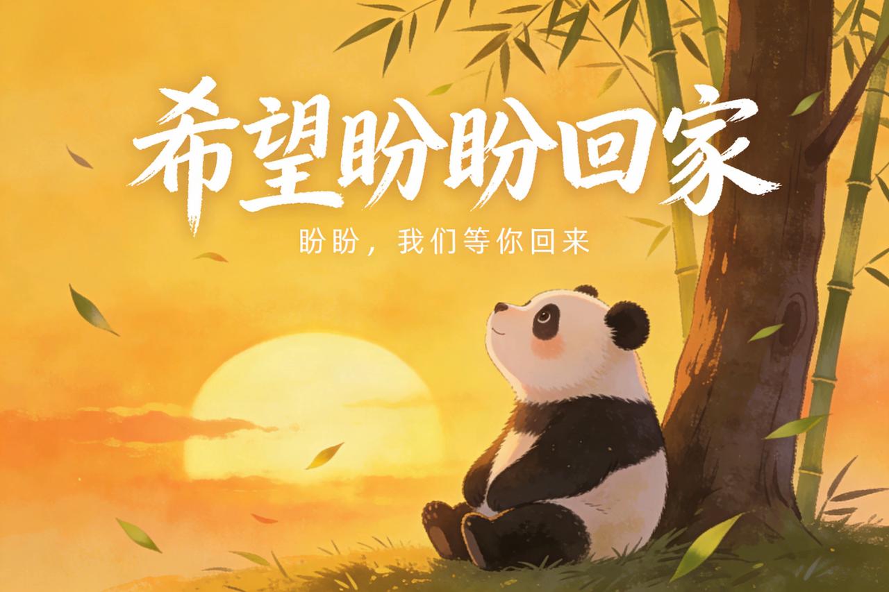 我家的猫叫盼盼，走丢整整三个月了。一直盼望它能找回家。看来是没戏了。

脑海中老