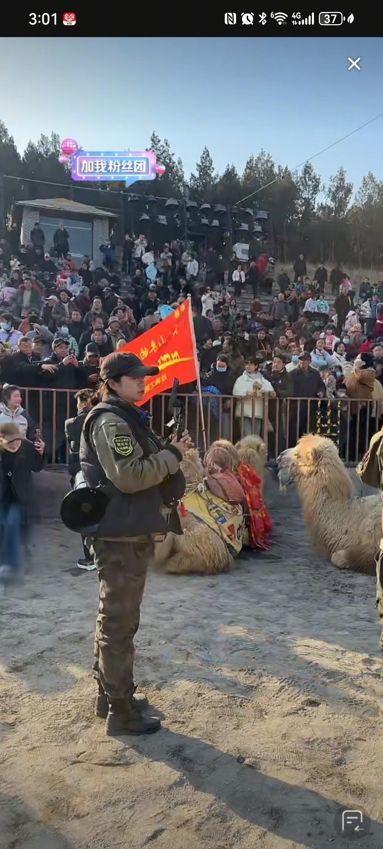 河南省沿途群众夹道热烈欢迎新疆东天山骆驼队。2025年12月25日骆驼队进入河南