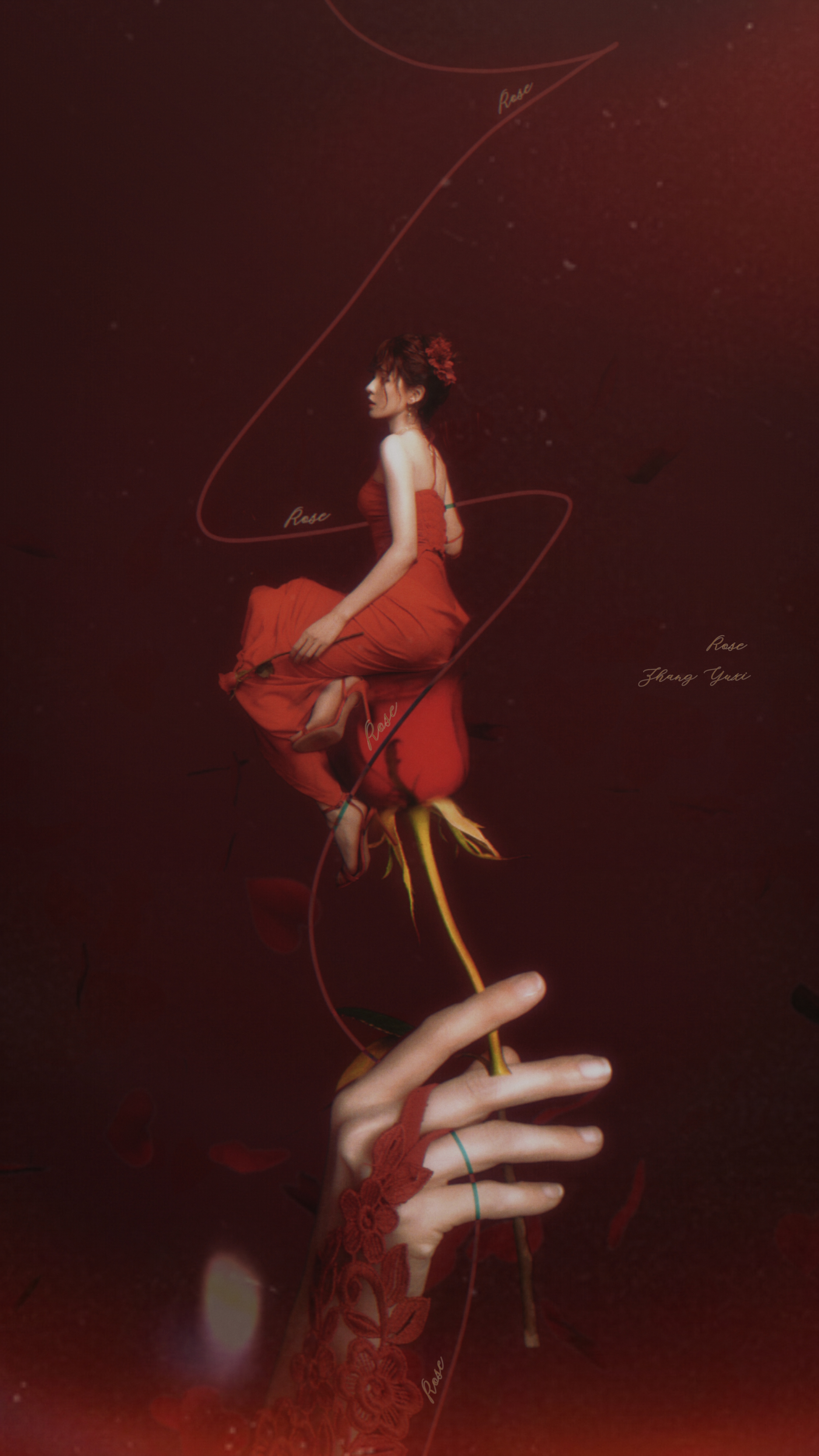 海报张予曦 Rose 张予曦 ❣️ ​​​