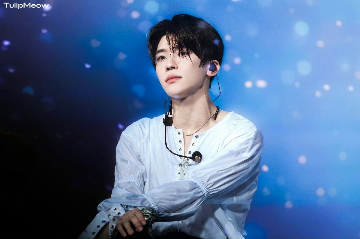 我决定这两天空瓶我都用这张图（如果我找的到的话 ​​​