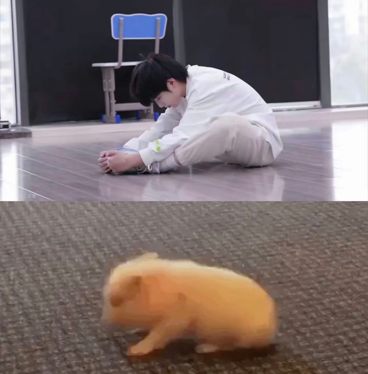 一祉小猪