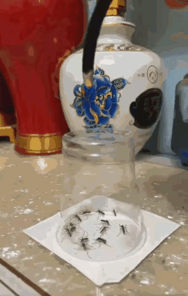 是时候血债血还了～[刀]