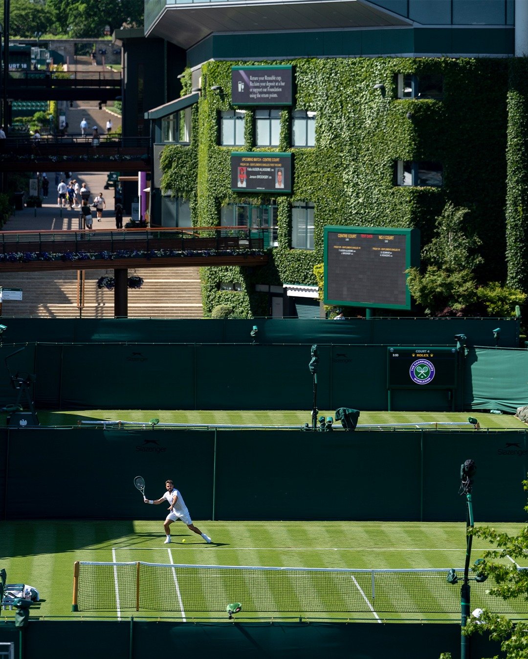 绿意蔓延故事也将开始 🎾温网2026 追求卓越 温网
