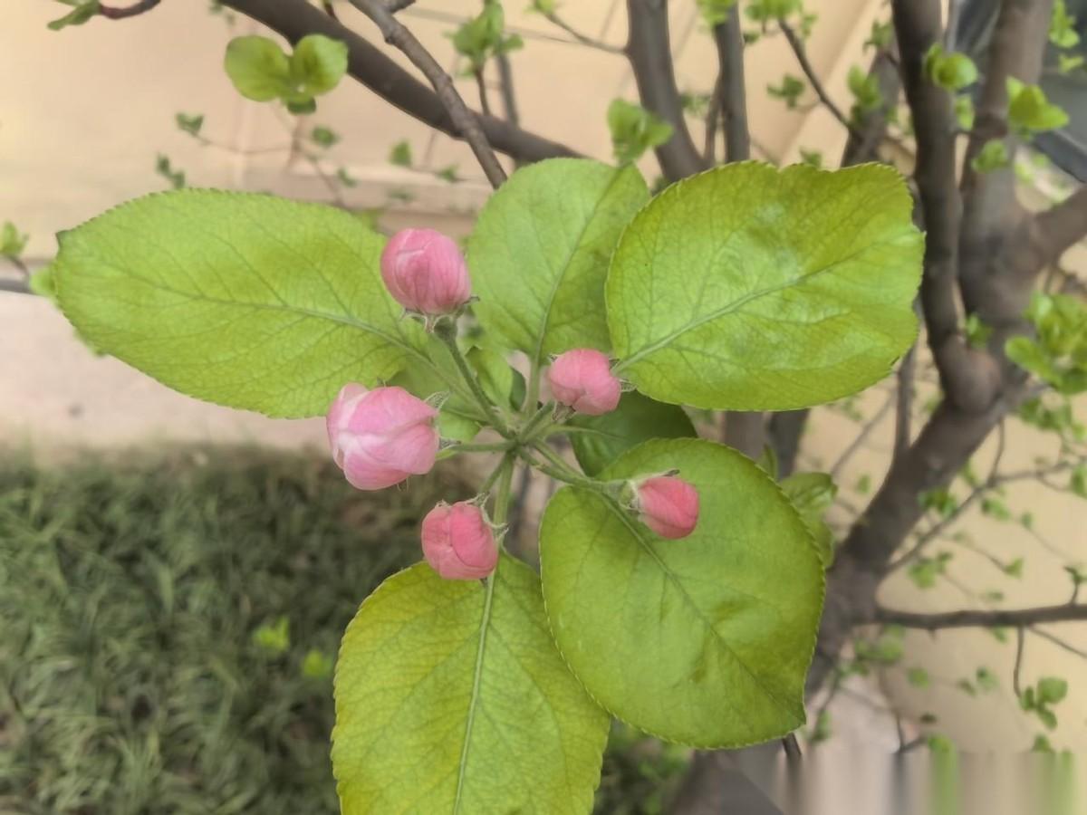 孩子他爹带着乞求的语气说：“给我点面子，他娘。”我铿锵有力地回他：“实事求是是d