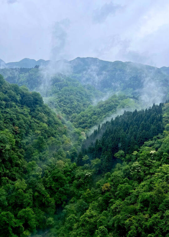 限定版言叶之庭！我心中夏日宝藏避暑地出现！