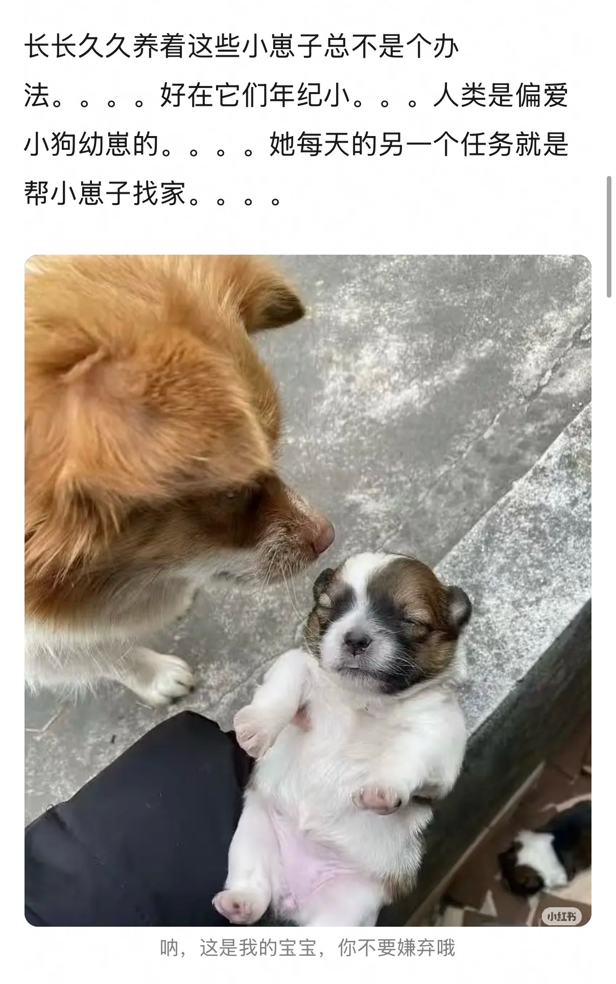 有时候故事看到这里就该暂停了。 
