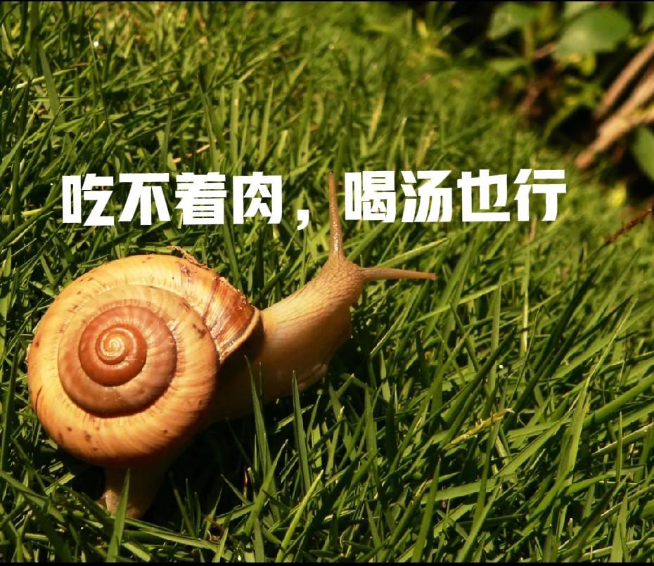 51过后的开门红连着两天大涨，有人担心这是不是赶顶啊？
大多数大涨过后都需要有一