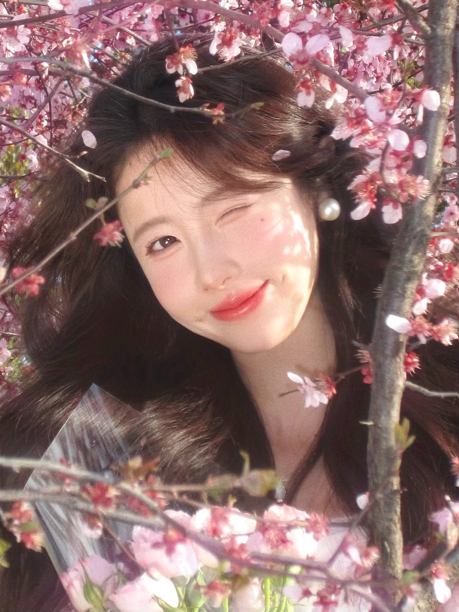 春风十里不如你 ᖘ ❛‿˂̵✧ ੧ᐛ੭🌸还得是佳能iuxs130！！ ​​​