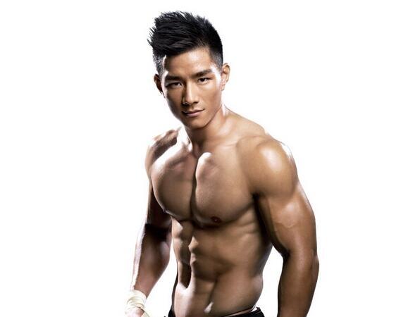 中国散打界的抗日名将杨建平

杨建平，被誉为“中国散打界的抗日名将”，是中国综合