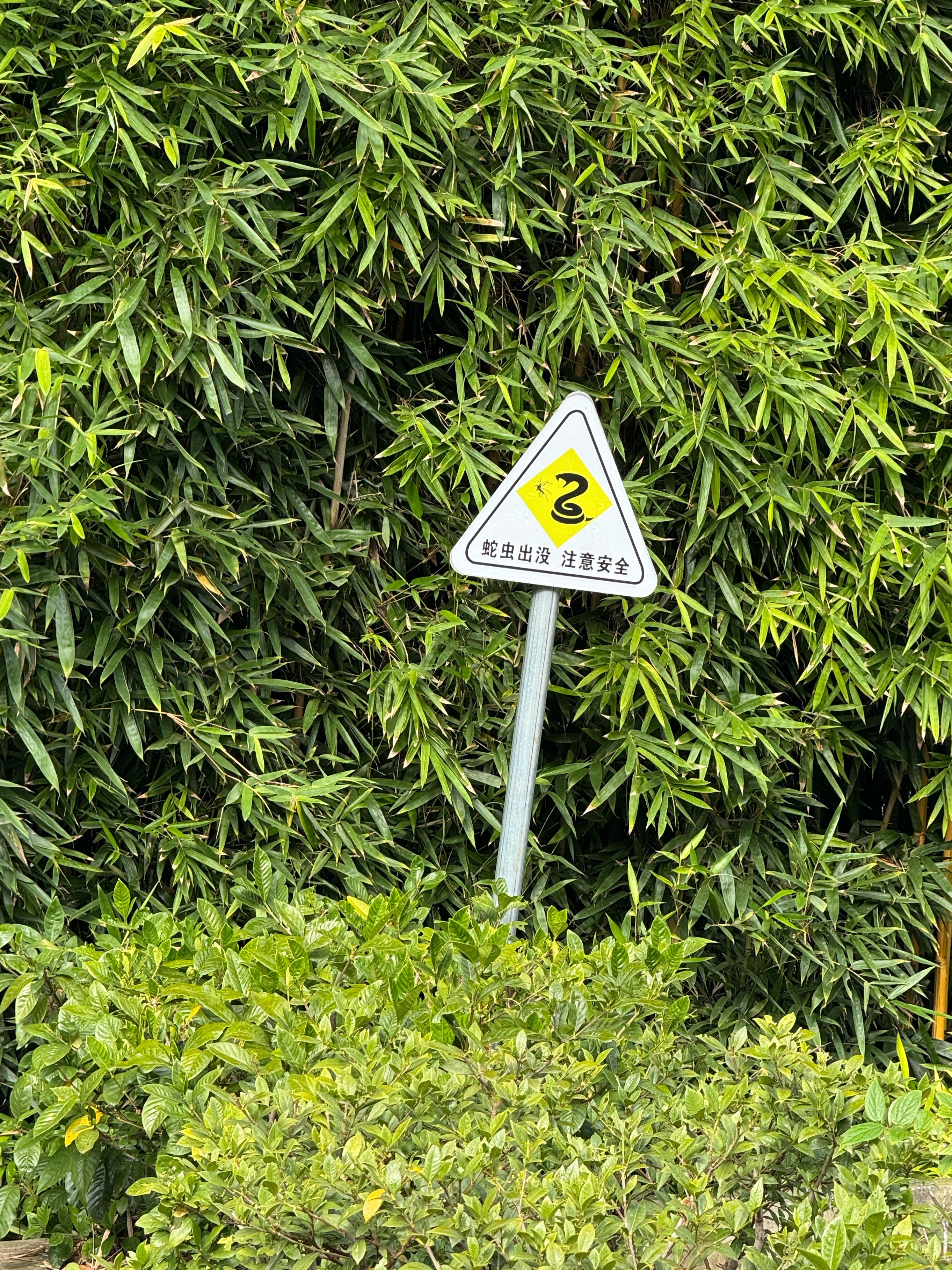 出来一星期了 今天回北京 重庆·重庆江北国际机场