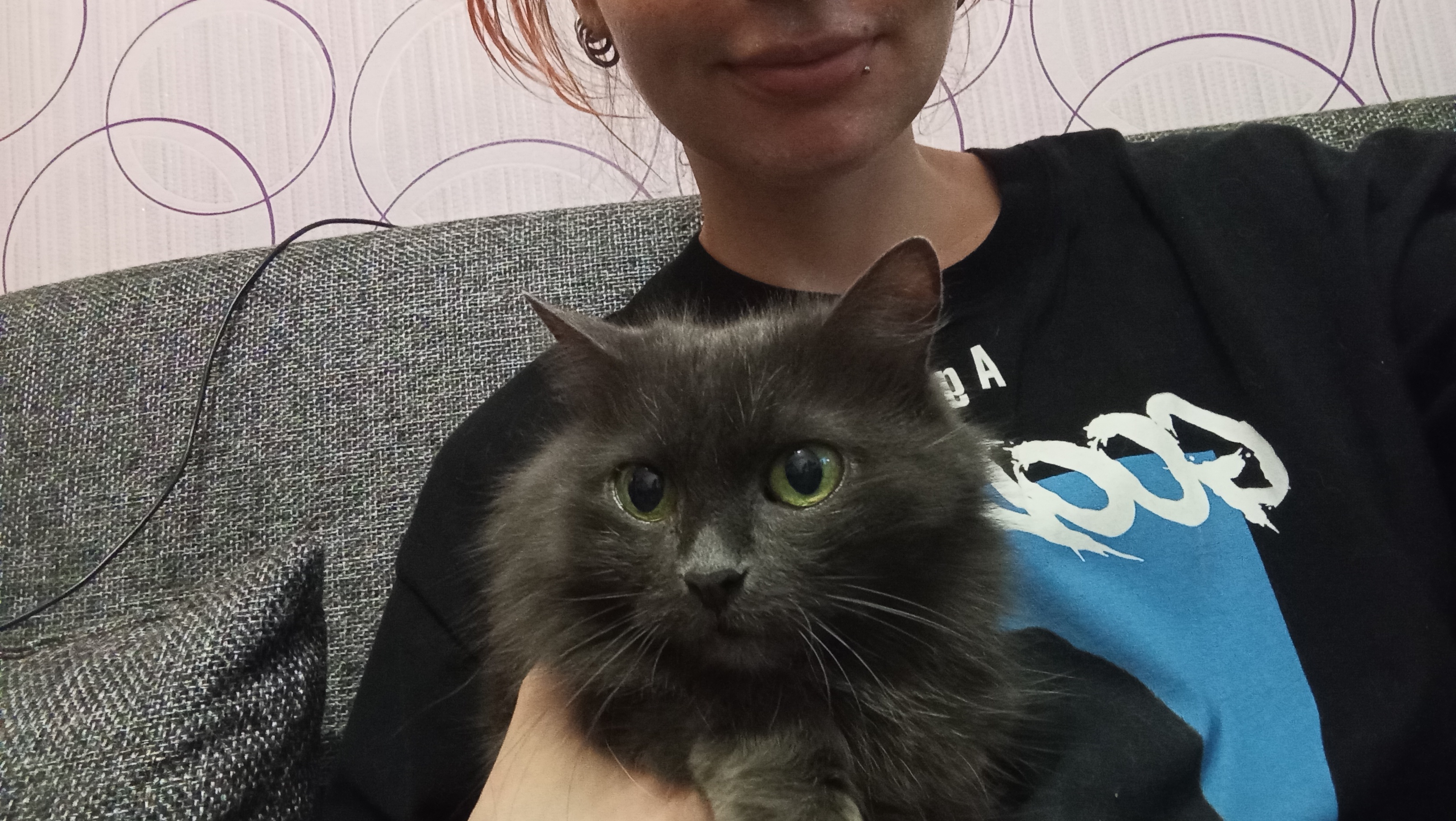 跟朋友的猫 ​​​